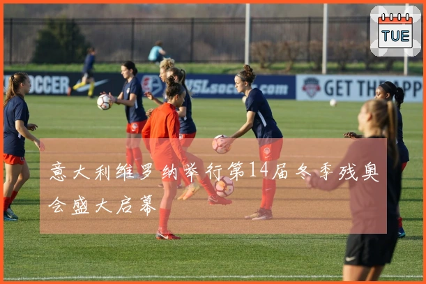 意大利维罗纳举行第14届冬季残奥会盛大启幕