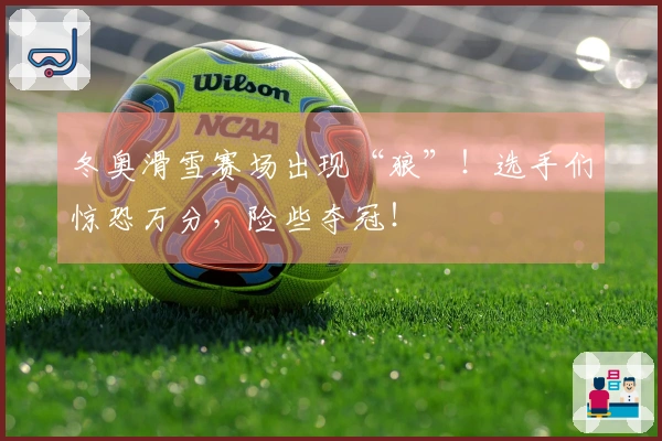 冬奥滑雪赛场出现“狼”！选手们惊恐万分，险些夺冠！