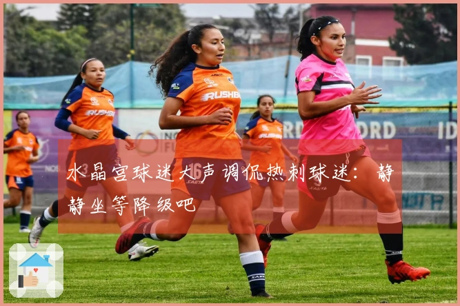 水晶宫球迷大声调侃热刺球迷：静静坐等降级吧